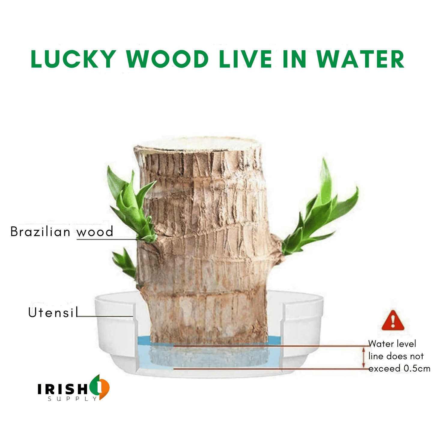 FORTUNELEAF Brazilian Wooden Hydroponic Tree