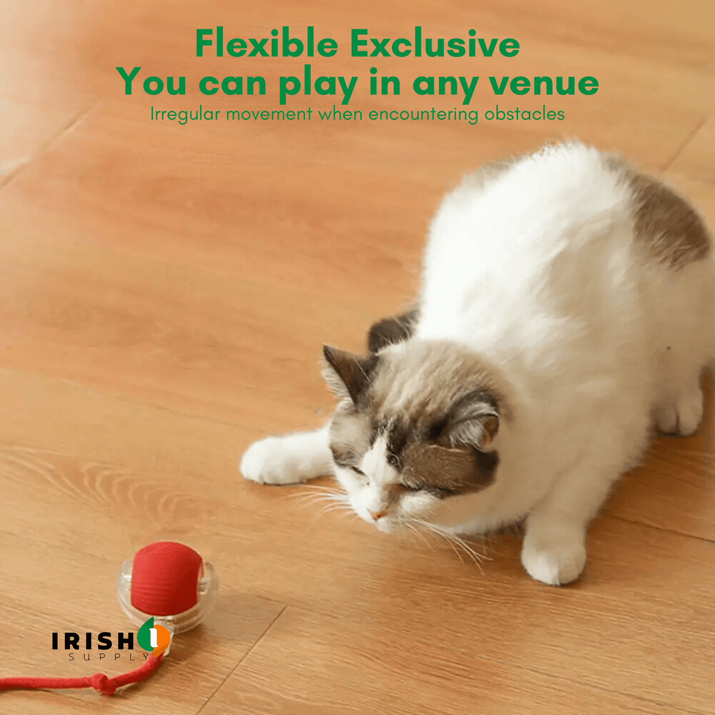 CHASEMATE Interactive Cat Toy Ball