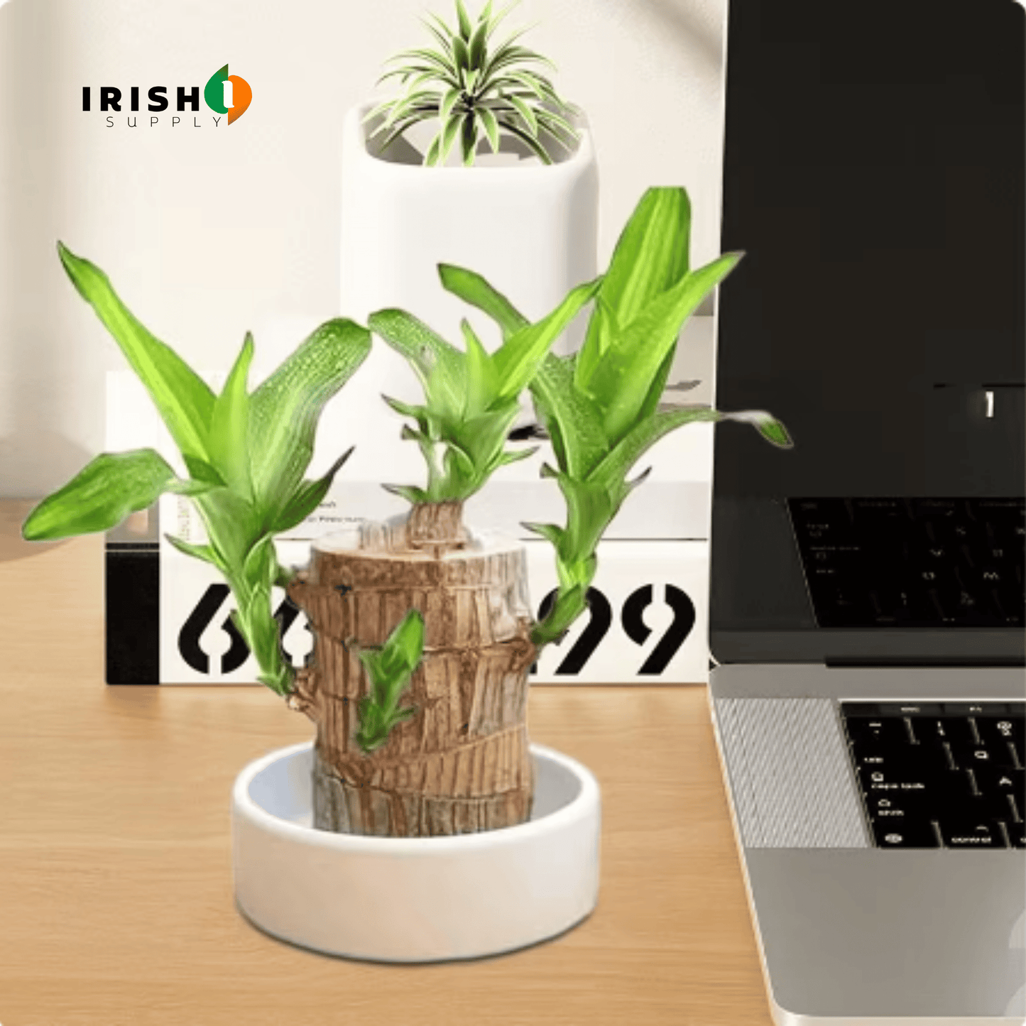 FORTUNELEAF Brazilian Wooden Hydroponic Tree