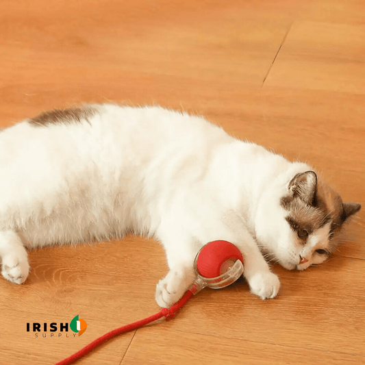 CHASEMATE Interactive Cat Toy Ball