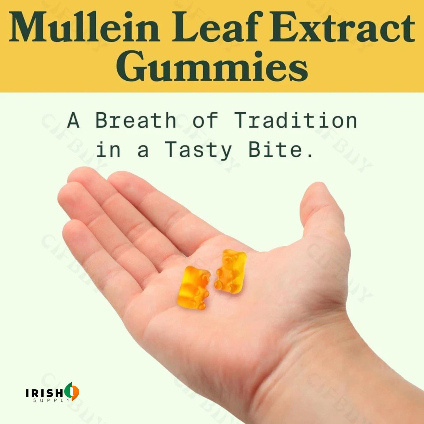PULMEX High-Potency Mullein Wellness Gummies